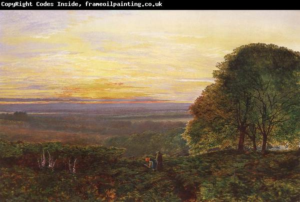 Atkinson Grimshaw Sunset from Chilworth Common